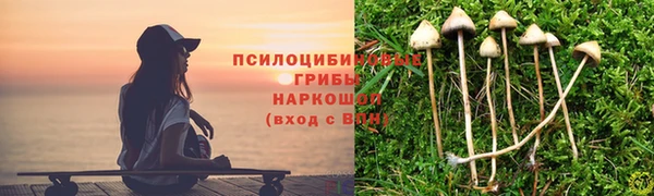 mdma Белокуриха